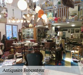 Antiquaire Brocanteur clairvaux-d-aveyron-12330 MEDOU Antiquaire 12